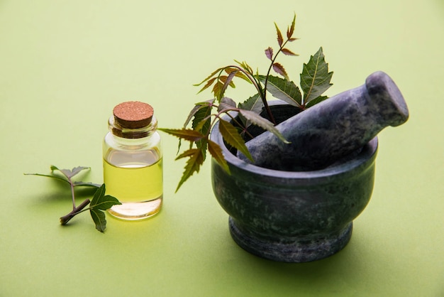 Top 10 Surprising Benefits of Peppermint Oil