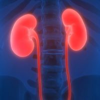 7 Early Admonition Indications of Kidney Infections to Keep Eyes On