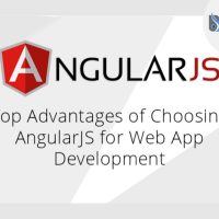 Angularjs web development services